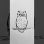 Dibujos de búhos reales: ¡Inspírate con estas increíbles ilustraciones!