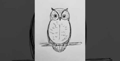 Dibujos de búhos reales: ¡Inspírate con estas increíbles ilustraciones!