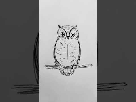 Dibujos de búhos reales: ¡Inspírate con estas increíbles ilustraciones!