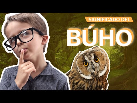 Tres buhos: Descubre su significado y características