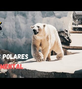 Descubre el fascinante mundo del búho polar en nuestro blog