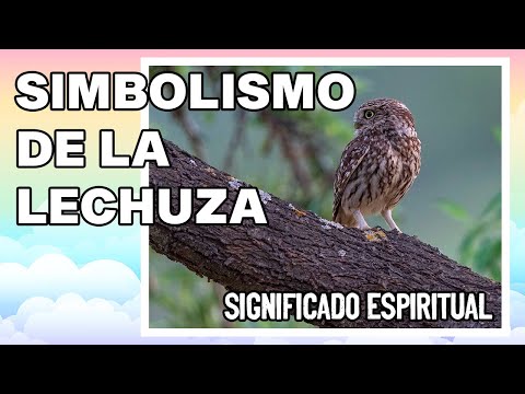 Lechuza con orejas: Descubre su fascinante belleza y misterio