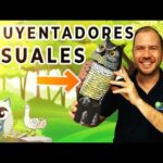 Búho espantapájaros en Amazon: la solución perfecta para ahuyentar aves