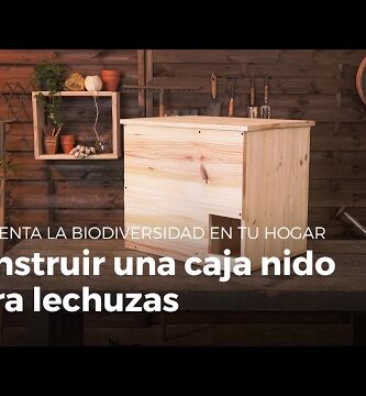 Casa para búhos: el refugio perfecto para estas aves nocturnas