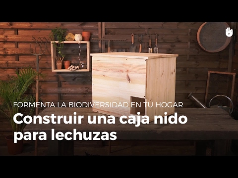 Casa para búhos: el refugio perfecto para estas aves nocturnas